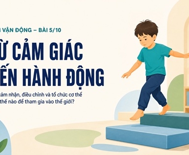 Từ cảm giác đến hành động: Trẻ cảm nhận, điều chỉnh và tổ chức cơ thể như thế nào để tham gia vào thế giới?
